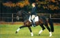 Antaeus Bild 1