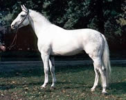 Gardeulan II