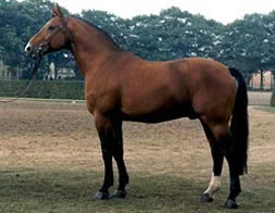 Gardeulan I