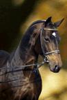 Antaeus